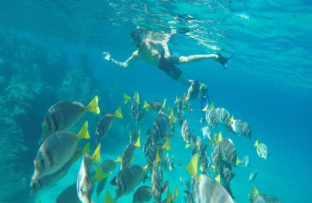 Land's End & Snorkel Tour in a Glass Bottom Boat (VisitA Cabo)