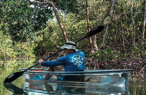 Clear Kayak Tours in Fort Pierce