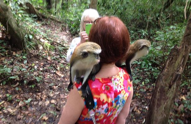 Guiding Tours In Ghana/West Africa