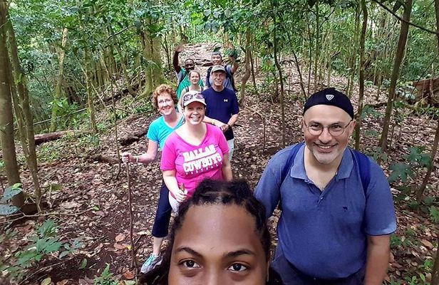 Tropical Rain Forest Explorer Hike In St. Kitts