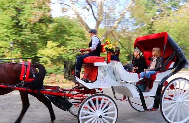 NYC Central Park Horse Carriage Ride (Up to 4 Adults)