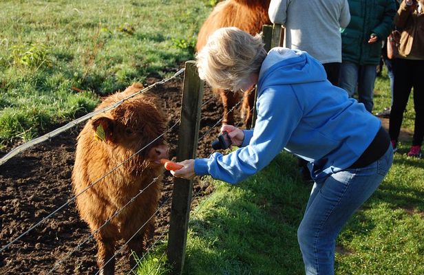 5-Day Best of Scotland Tour from Edinburgh