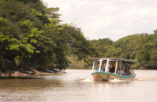 Palo Verde Boat Safari + Coffee & Culture – Wildlife & Flavor