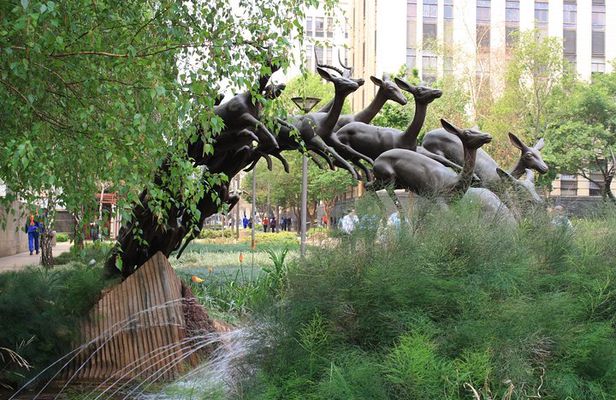 LocalPlaces Understanding Johannesburg Walking Tour
