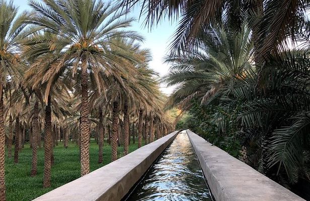 Old Nizwa authentic walks