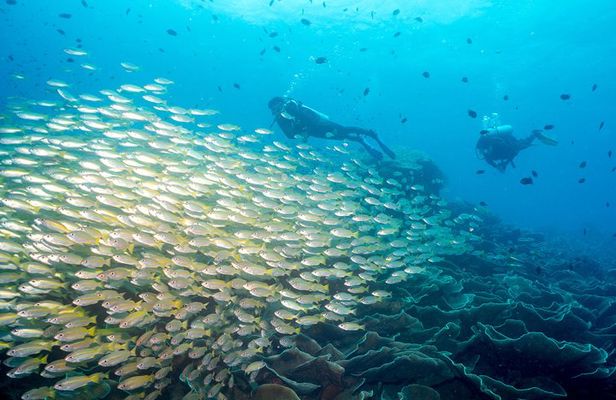 Easy Fun Scuba Dive in El Nido