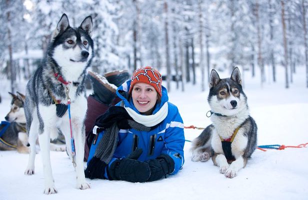 Huskies ride store