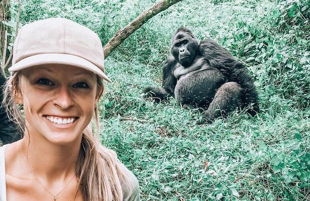 From Kigali: 3 Days Gorillas and golden monkeys trek Adventure