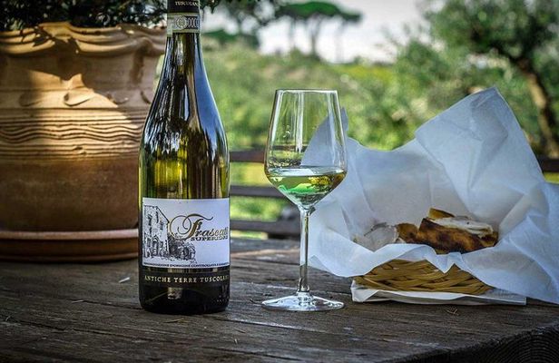 Frascati Wine Tasting Tour: The Flavors of the Roman Countryside