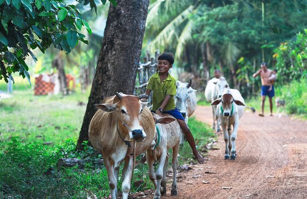 Lifestyle Tour with Homestay - 2 Days 1 Night