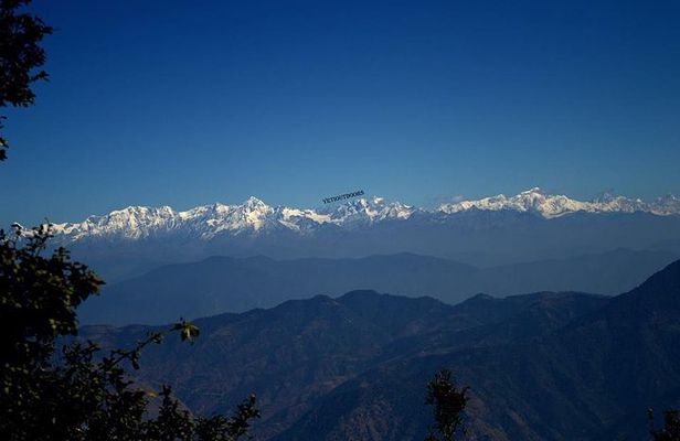 Top Tibba Day Hike and Dhanaulti Visit