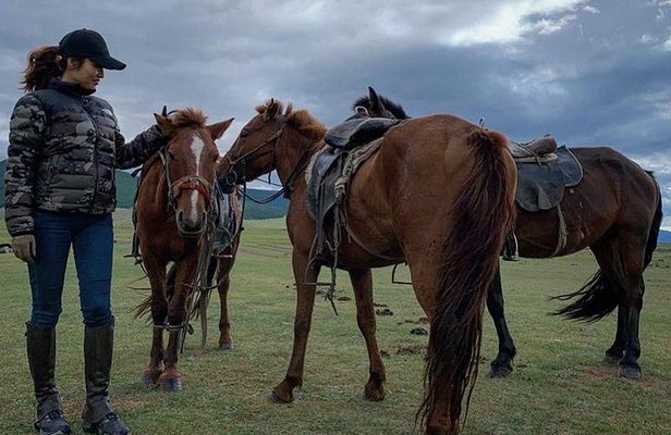12-day Gobi and Central Mongolia Adventure