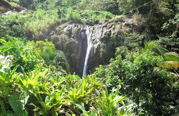 Half Day Grenada Sunshine Highlights Tour