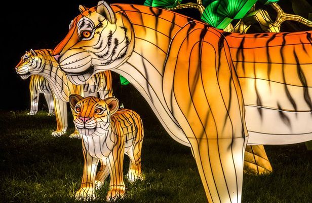 Bronx Zoo Holiday Lights Admission Ticket