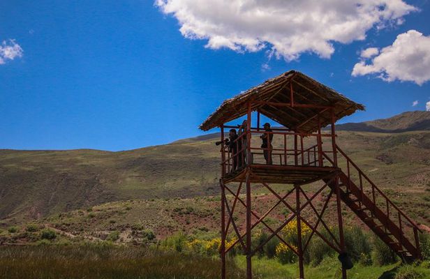 Birdwatching at Huacarpay Wetland in Cusco
