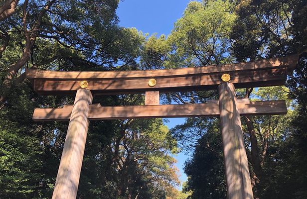 Tokyo Half-day Customized Private Tour