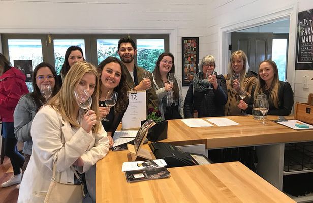 Martinborough Full Day Wine Tour