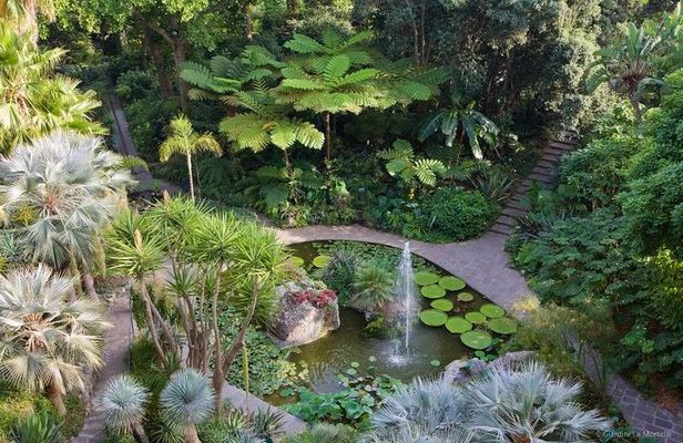 Ischia and La Mortella Gardens