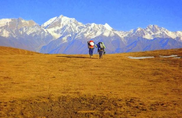 Dayara Bugyal Himalayan Trekking and Camping