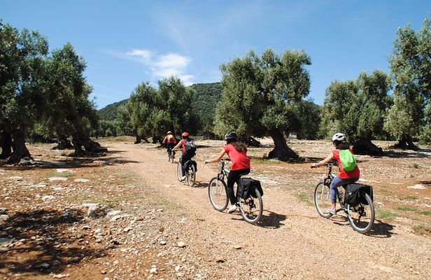 Bike oil tour in Monopoli