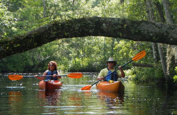 Lofton Creek Kayaking Trip with Professional Guide