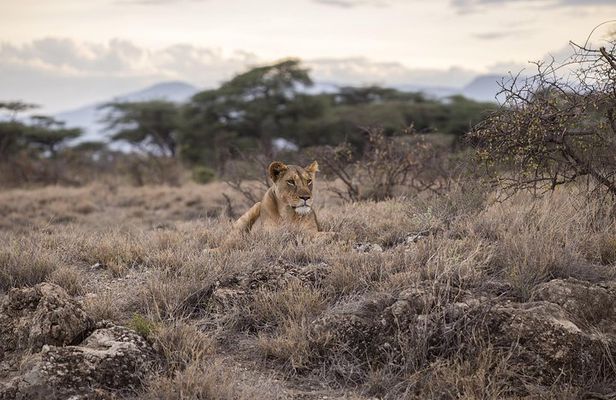 Day Trip - Tarangire National Park