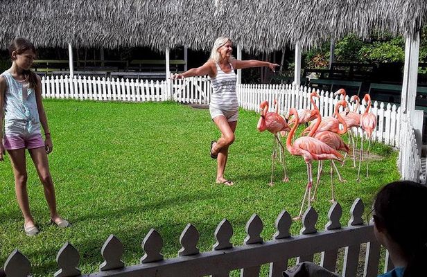 At YOUR Pace Private Tours V.I.P - Nassau, Bahamas