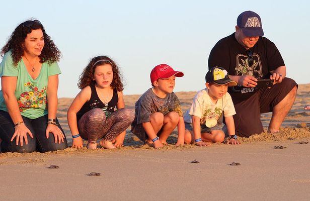 Cabo Turtle Release