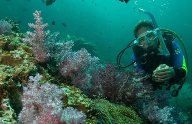 PADI Scuba Diver Course