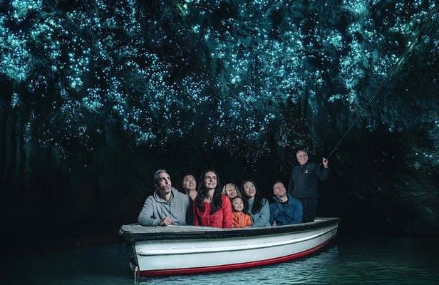 Waitomo Caves Private Tour from Auckland