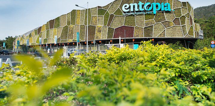 Private Tour: Full Day Tour Highlights of Penang Island