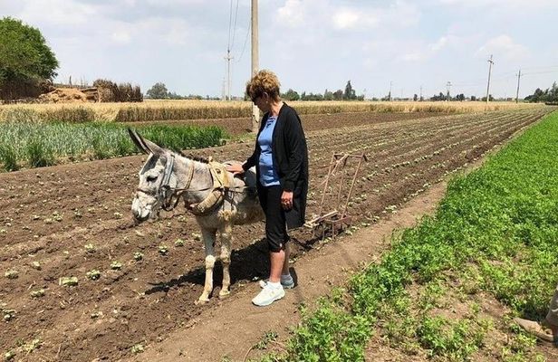 Egypt Day tour in countryside