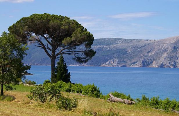 Coastal hiking tour with biologist guide