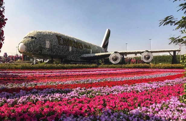 Dubai Miracle Garden Self-Guided Tour with Ticket with Transfer