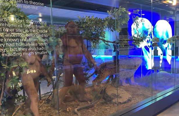 Lesedi , Sterkfontein Caves & Maropeng Centre Combination Tour