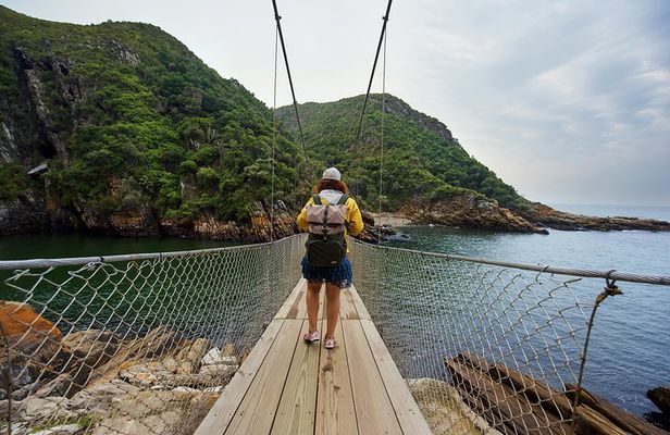 From Cape Town: 2-Nights, 3-Days Garden Route private tour