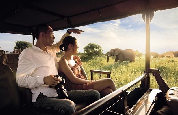 Kruger National Park Full Day Big 5 Safari Tour From Hazyview