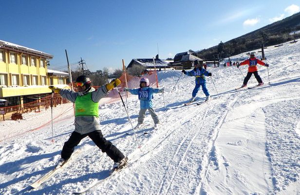 Private ski lesson for family or group(Transport included )