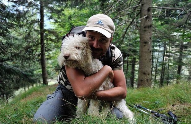 Truffle hunting and lunch experience in a restaurant