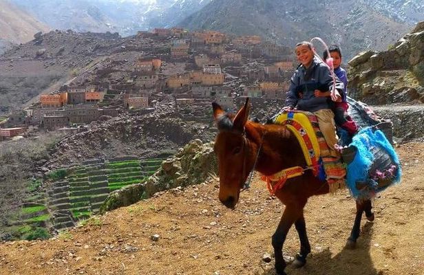 Cooking class with Berbers in atlas mountain day trip from marrakech to imlil