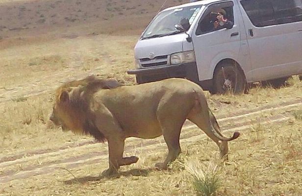 3 Days Maasai Mara Budget Group Safari