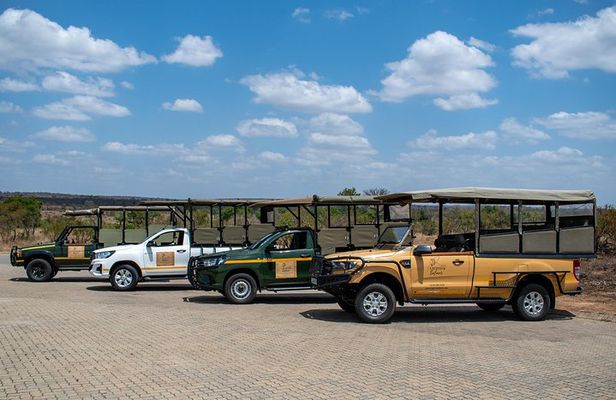 Kruger Safari Tour - Full Day