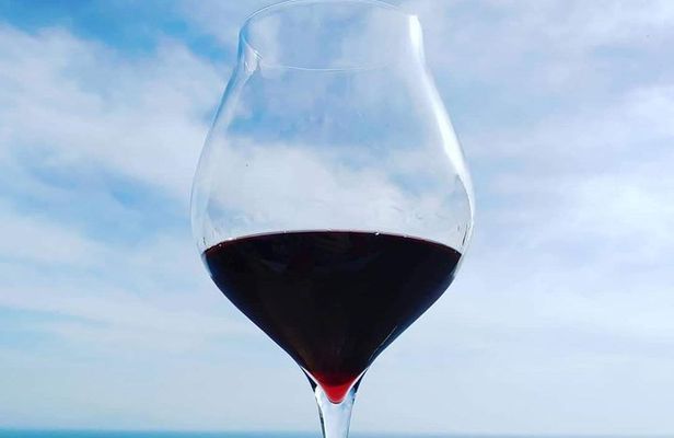 Genuine Home Cooking Class + Wine Tasting