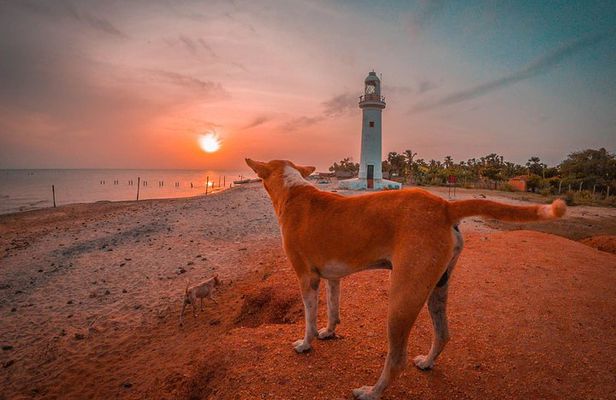 Sri Lanka North Tour