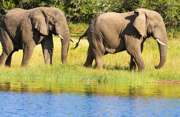 2 Days in Akagera National Park