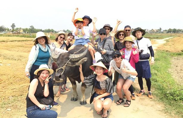 Cycling, Buffalo, Basket Boat ride in Hoi An