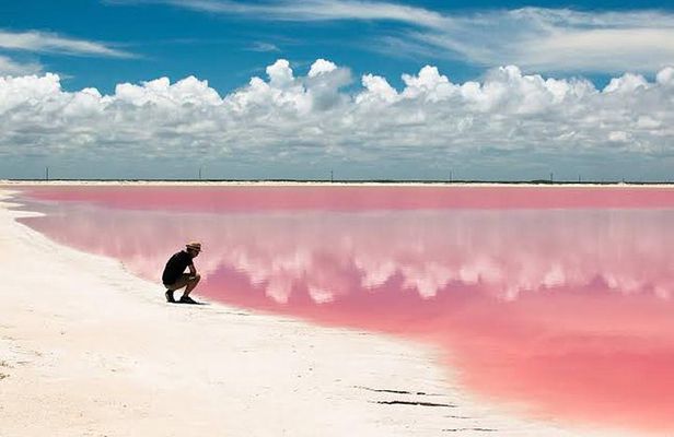 Adventour Day: Coloradas and Rio Lagartos Excursion from Cancun!