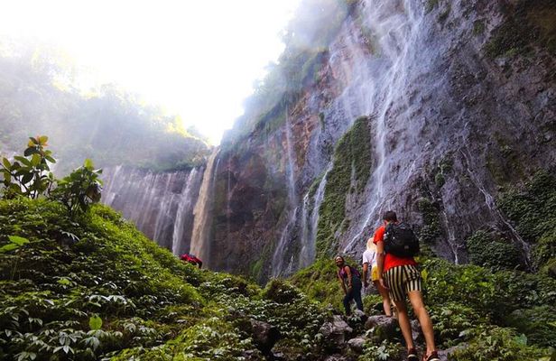 1Day - Tumpak Sewu Waterfall and Goa Tetes Cave Trekking