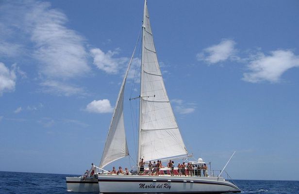 Private Catamaran Tour on Marlin del Rey
