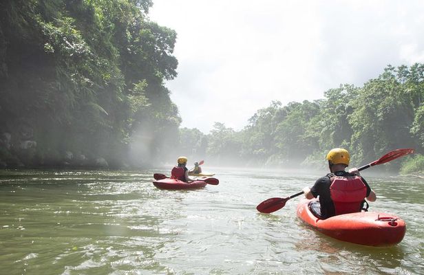 Sarapiquí River Jungle Kayak Tour
